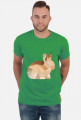 T-shirt - Królik