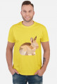 T-shirt - Królik