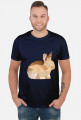 T-shirt - Królik