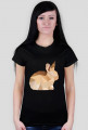 T-shirt - Królik
