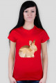 T-shirt - Królik