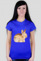 T-shirt - Królik