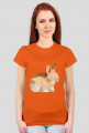 T-shirt - Królik