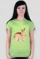T-shirt - Królik