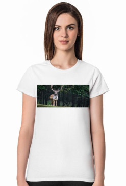 Koszulka RecordWear "OhDeer"