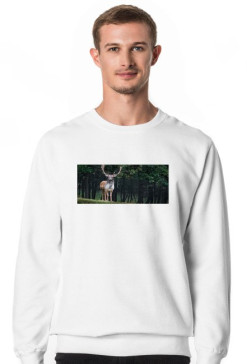Bluza RecordWear " OhDeer"