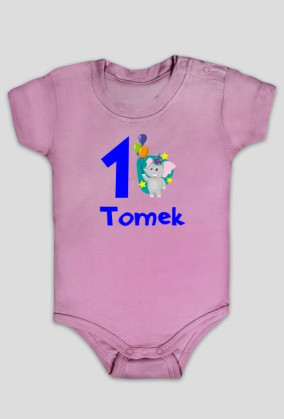 Tomek rok