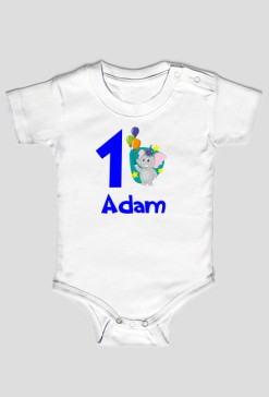 Adam rok