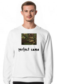 Perfect camo