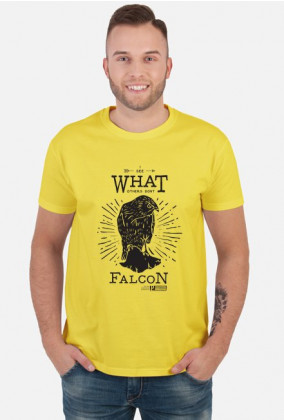 Falcon man