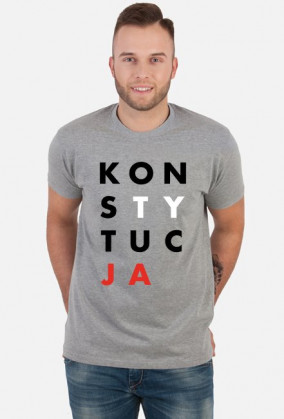 Konstytucja koszulka męska szara