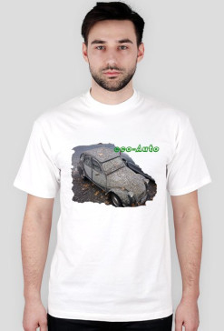 Eco Auto