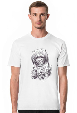 małpa kosmonauta