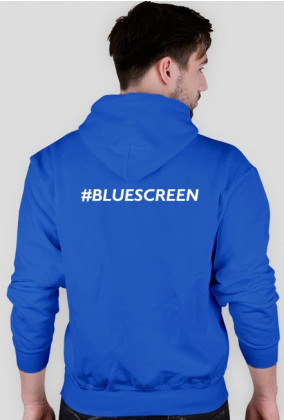 Bluza bluescreen - a problem has been detected
