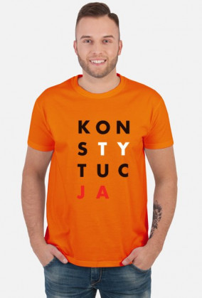 Konstytucja koszulka szara t-shirt