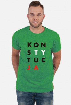 Konstytucja koszulka szara t-shirt