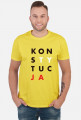 Konstytucja koszulka szara t-shirt