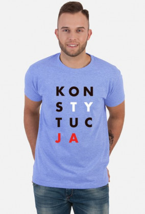 Konstytucja koszulka szara t-shirt