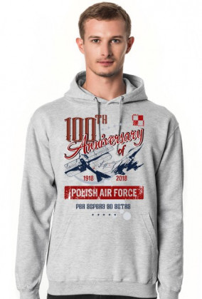 AeroStyle - bluza męska jasno szara 100-lecie lotnictwa