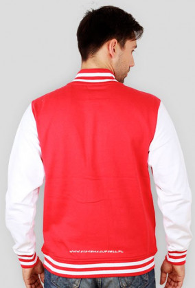 SystemX Logo bluza college