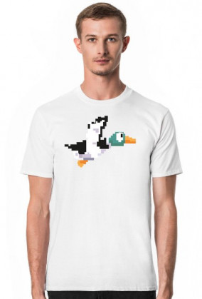 Duck Hunt