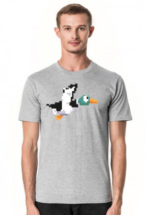 Duck Hunt