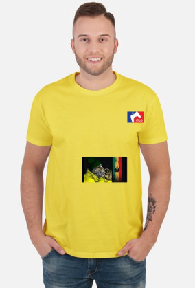 Memes
