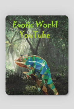 Podkładka pod myszkę Exotic World