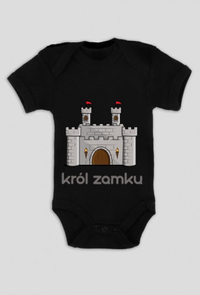 Król zamku