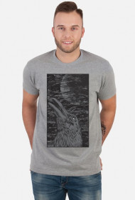 Crow t-shirt szary