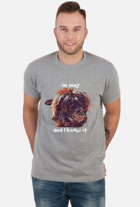 T-shirt z Alpaką, I'm sexi - rózne kolory