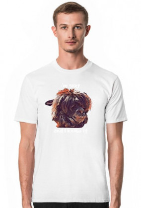 T-shirt z Alpaką, I'm sexi - rózne kolory