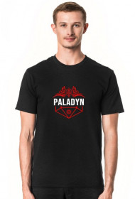 Klasa: paladyn