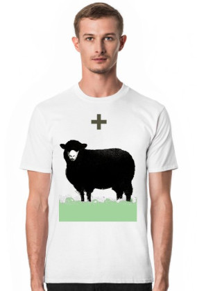 deep sheep