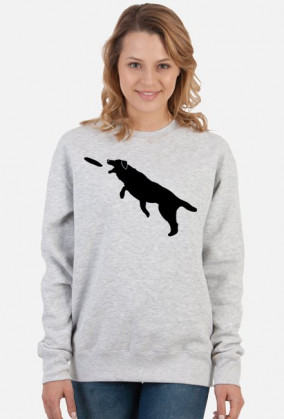 Bluza dogfrisbee biała/szara