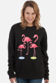 Flamingi