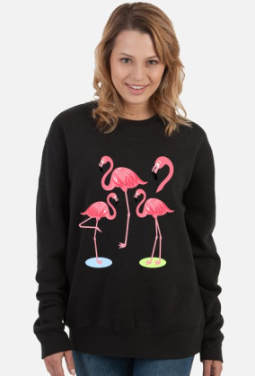 Flamingi