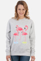 Flamingi