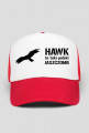 Hawk to taki polski jaszczomb czapka edukacyjna