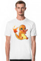Pokémon: Charmander