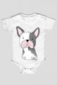 Buldog Francuski