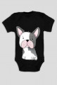 Buldog Francuski