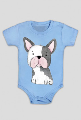 Buldog Francuski