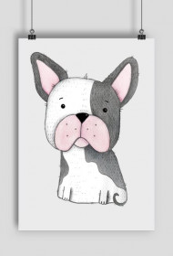 Buldog Francuski