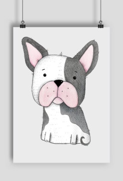 Buldog Francuski