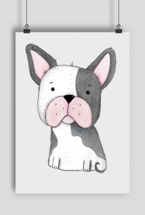 Buldog Francuski