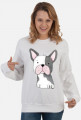 Buldog Francuski