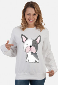 Buldog Francuski