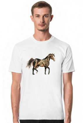 koń trot