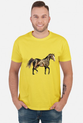 koń trot